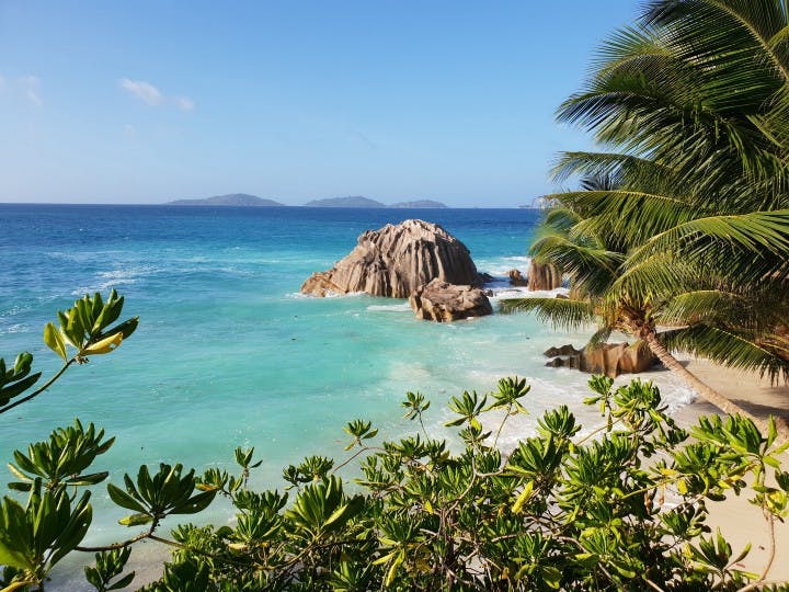 Picture of a beach with coconut trees and far-off mountains